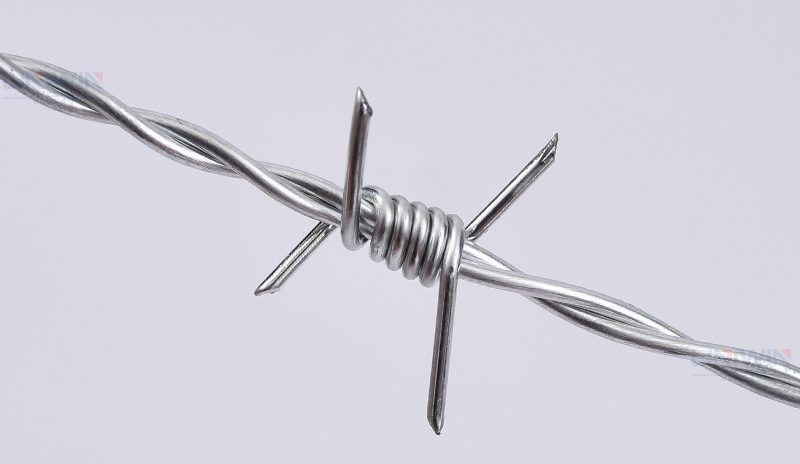 normal and reverse twist barbed wire